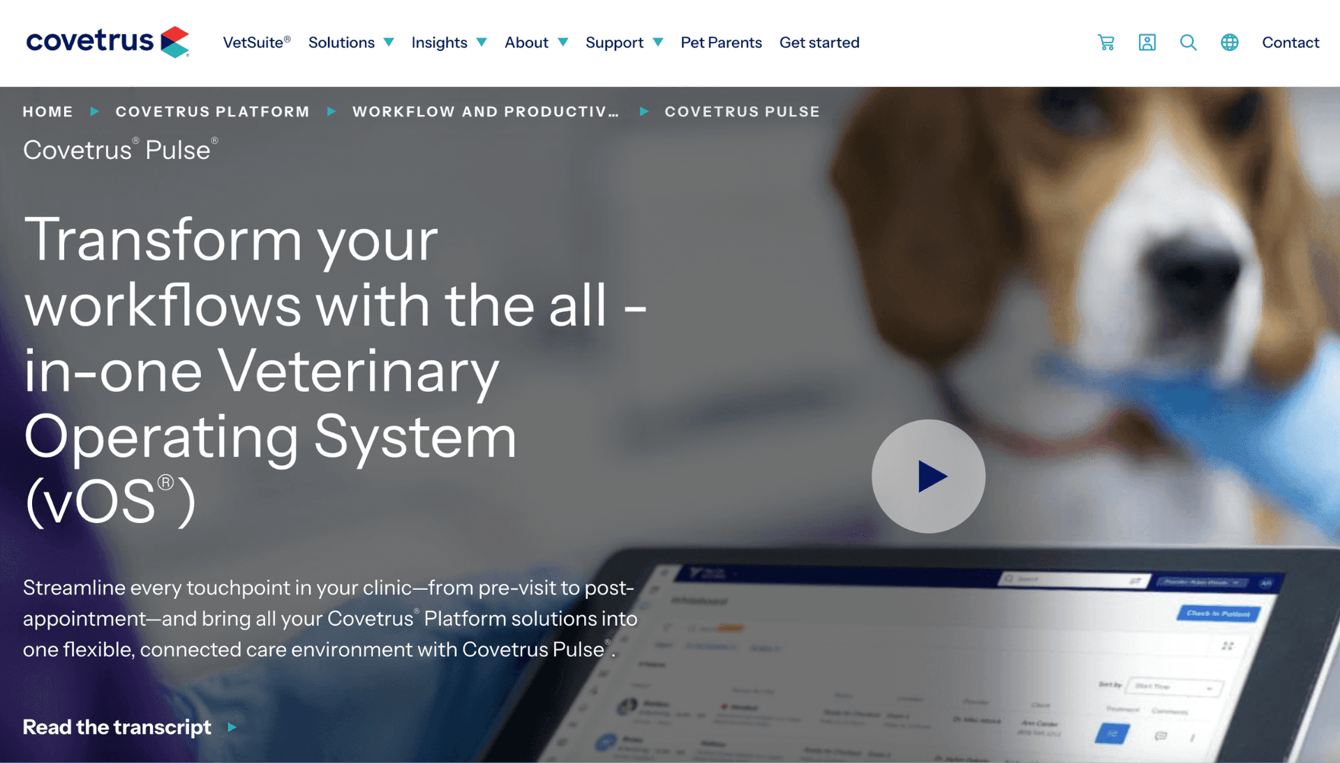 Covetrus Pulse's homepage hero section