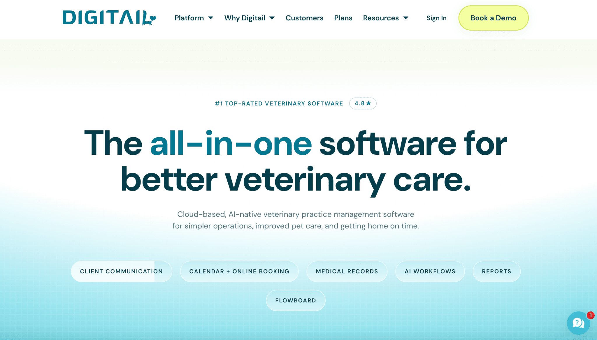 Digitail's homepage hero section