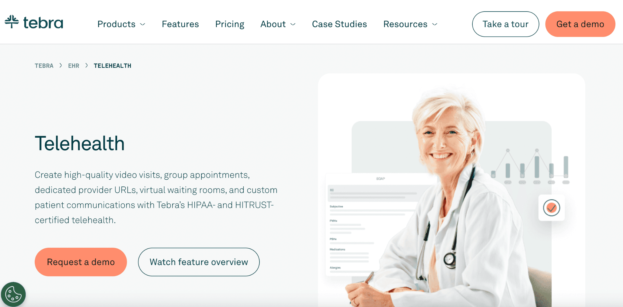 Tebra's telehealth platform for virtual patient consultations page