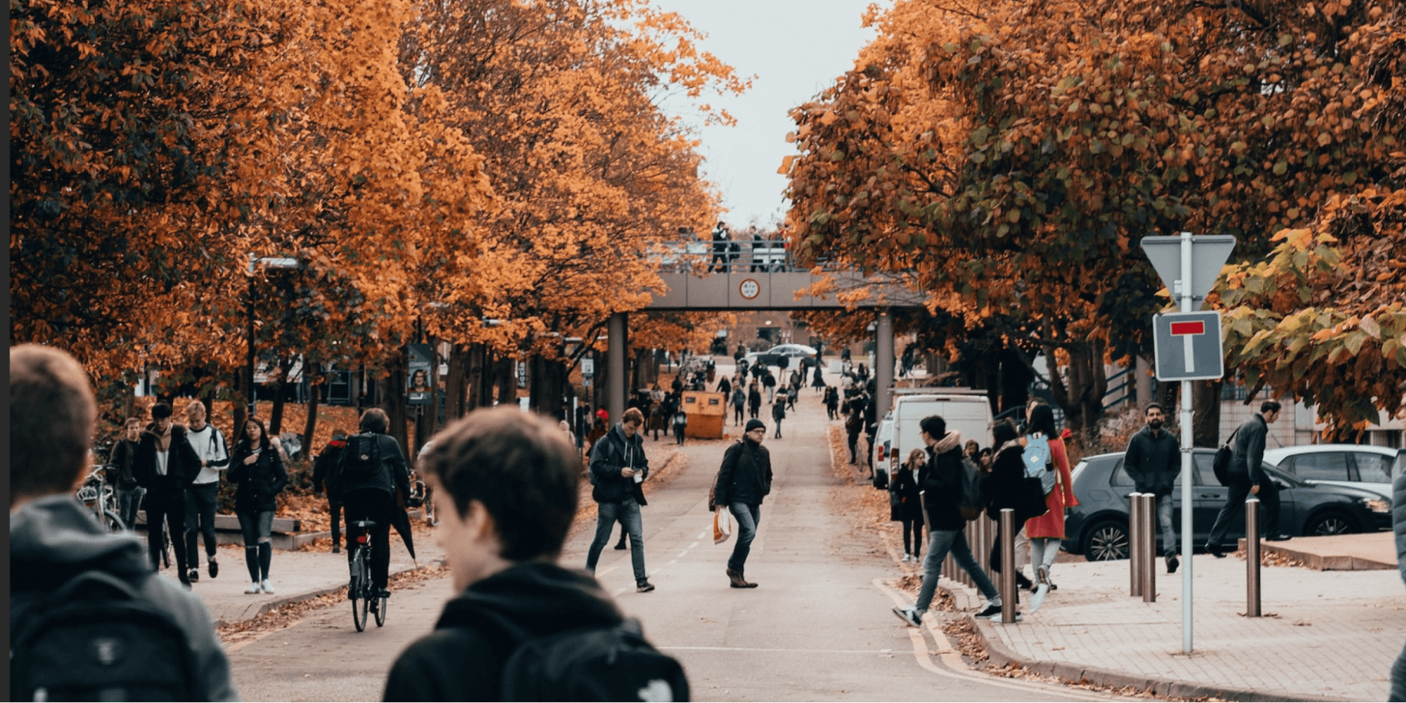 College campus walkway with students in autumn