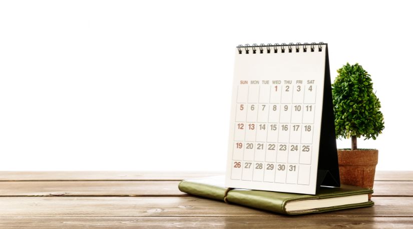 Desk calendar and small plant on wood table