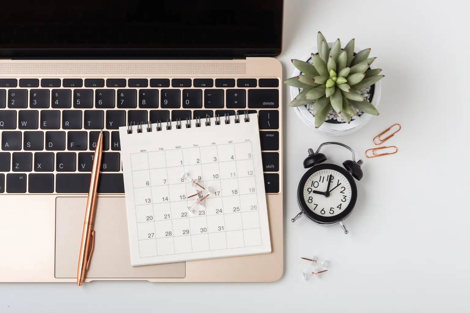 Laptop, paper calendar, clock and succulent on a desk